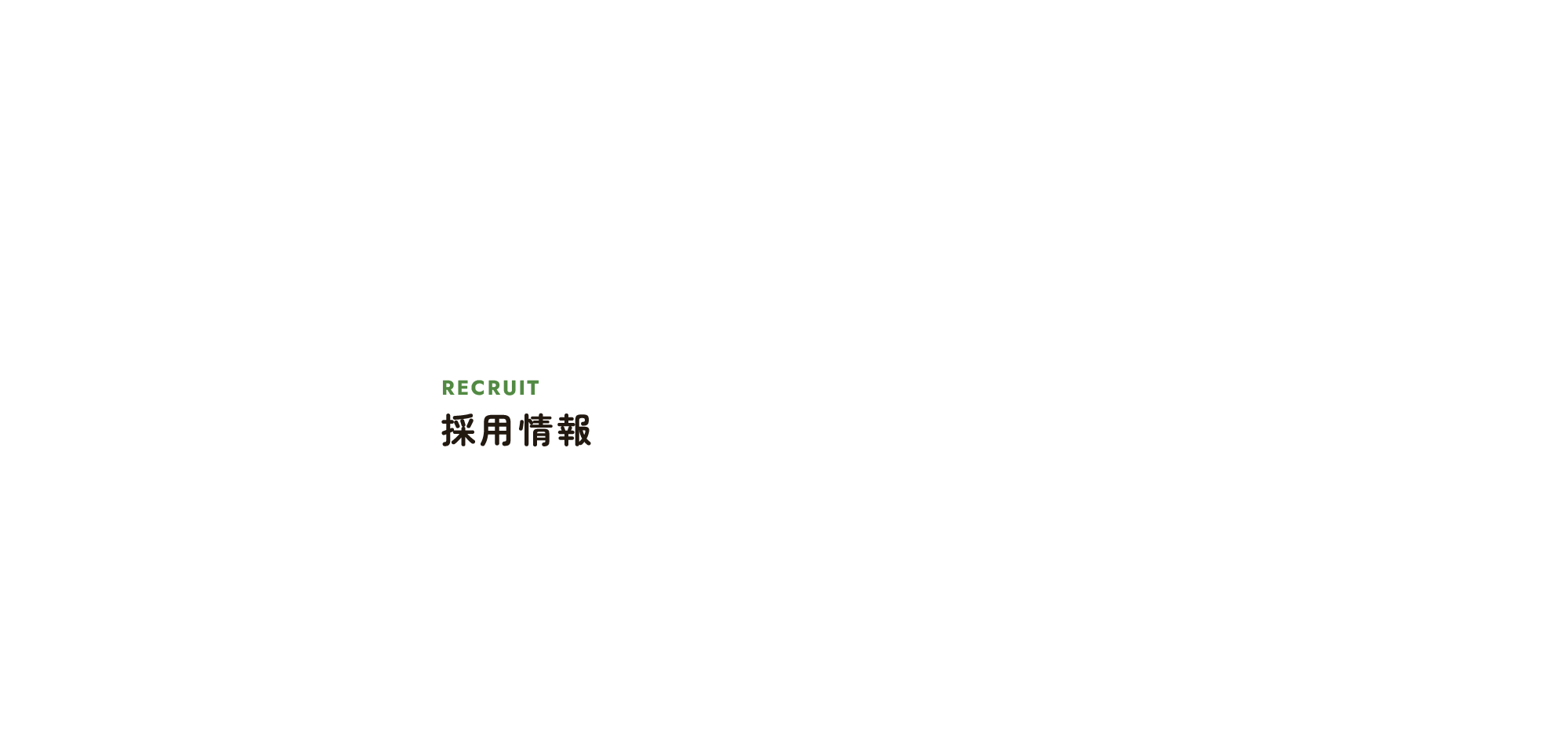 採用情報